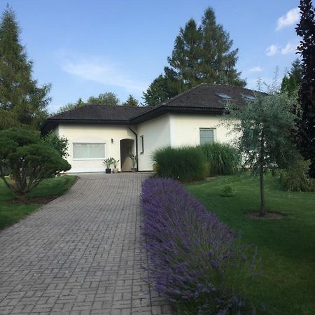 Studiovy Apartman V Zahrade Police nad Metují Extérieur photo